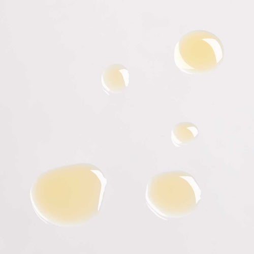 Mini Rosehip + Black Cumin Clarifying Face Oil